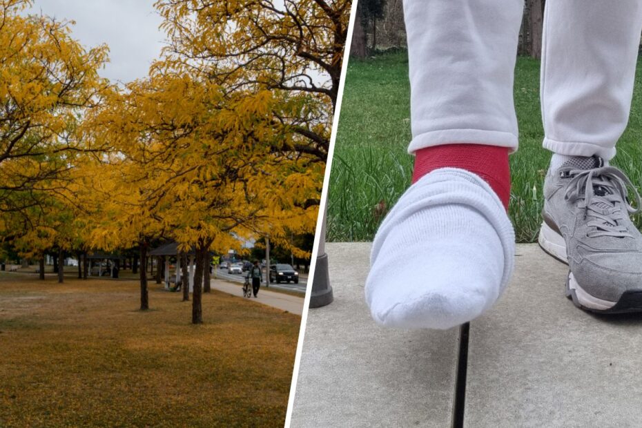 Gångväg kantad av träd med gula höstlöv, och närbild på en fot med rött gips och strumpa bredvid kryckor.